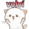 😸Mochi cat Amor❤️ 6
