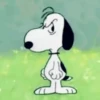 Memes do Snoopy 9