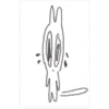 meownz 5