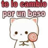😸Mochi cat Amor❤️ 7