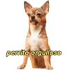 perritos memes 🐕 9