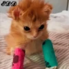 🐈Meowcitos 🐱 7