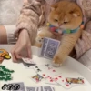 2🐈Meowcitos 🐱 8
