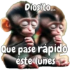 🙉🙊Lunes con Monos🙈🐵 7