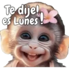 🙉🙊Lunes con Monos🙈🐵 8
