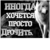 ИНОГДА ХОЧЕТСЯ ПРОСТО ДРОЧИТЬ
