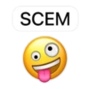PakoWZP - Smiley più Test 16
