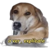 perritos memes 🐕 11