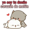 😸Mochi cat Amor❤️ 8