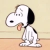 Memes do Snoopy 13