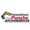 Vivienda con Punche 13