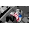Pinches chivas 9