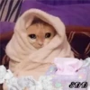 🐈Meowcitos 🐱 11