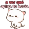 😸Mochi cat Amor❤️ 10