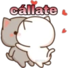 😸Mochi cat Amor❤️ 11