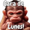 🙉🙊Lunes con Monos🙈🐵 10