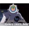 Pinches chivas 10