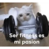 Ser fitness es mi pasion