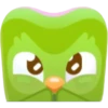 Duolingo 5