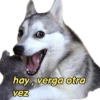 perritos memes 🐕 14