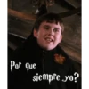 Harry Potter 13