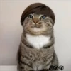🐈Meowcitos 🐱 14