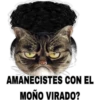 MEMESILLOS 5 CLASICA 11