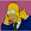 Homer Simpson reagindo 6