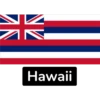 USA States Flags-1 15