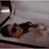 Ariana Grande Latin News 17