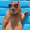 Capibara 🧸✨ 5