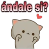 😸Mochi cat Amor❤️ 13