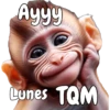 🙉🙊Lunes con Monos🙈🐵 13