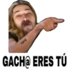 FOFITO GACHO ERES TÚ