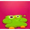 Duolingo 9
