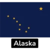 USA States Flags-1 17