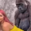 monos macaco changos 3😎 8