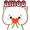 😸Mochi cat Amor❤️ 14