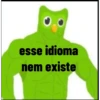 DUOLINGO MARONBA 15