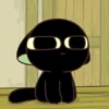🌈🐈‍⬛✨️Gatito Negro Mood✨️🐈‍⬛🌈 12