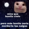 Michis Para Contestar 🐈‍⬛ 6