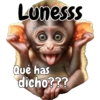 🙉🙊Lunes con Monos🙈🐵 14