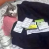 Más REACCIONES #3 👻 7