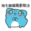 【地方貓貓需要關注]