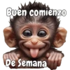 🙉🙊Lunes con Monos🙈🐵 15