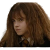 Harry Potter 17