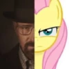 •MLP• @mamadgoorbai 13
