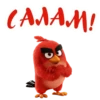 Angry Birds №2 8