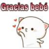 😸Mochi cat Amor❤️ 15