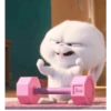 Gym 💪 10